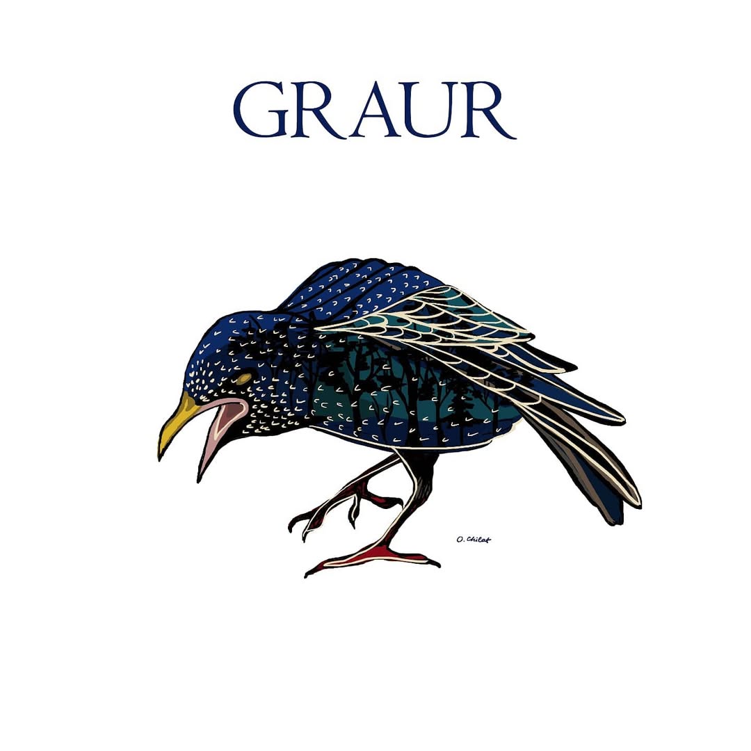 Graur